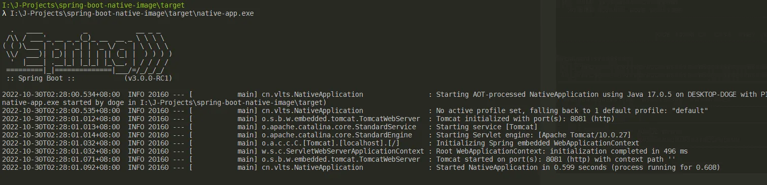 spring-boot-native-image-12